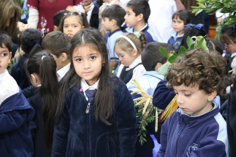 Celebración de Ramos